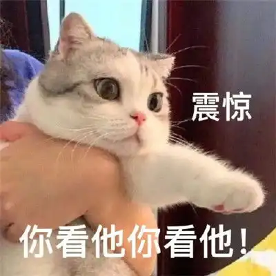  微信无敌斗图表情包大全斗图表情吧搞笑图片