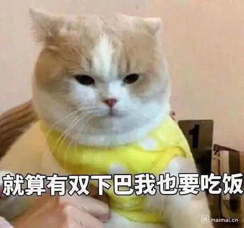 猫咪吓出双下巴表情包我