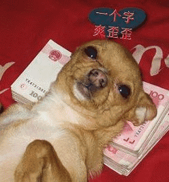  搞笑gif段子看热闹的大婶,不是你家的孩子也不至于笑的这么开心吧