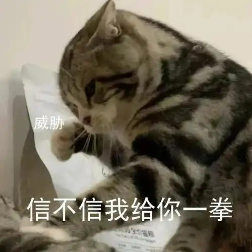  那些阴阳怪气的表情包