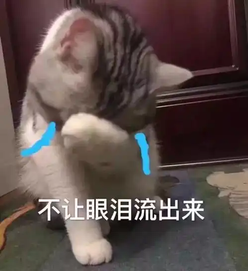表情包大林林玥
