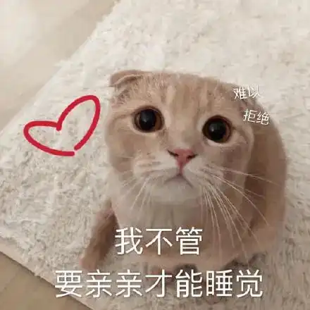 表情包猫爱你