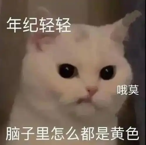  存点表情包