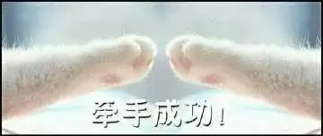  科幻游戏先行者诺亚传说的倔强
