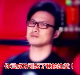  中国好声音汪峰豪华表情包上头条
