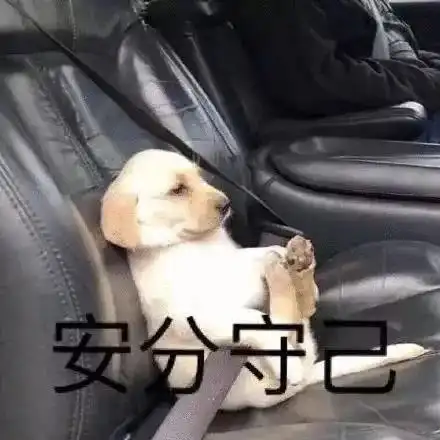 cheese狗子表情包for循
