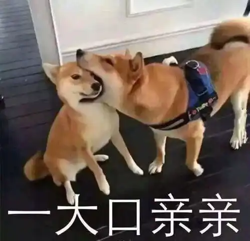  跟团游有靠谱旅行社推荐吗