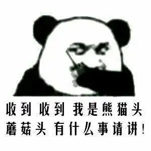  熊猫蘑菇头表情包