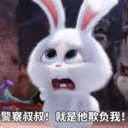 爱宠大机密小白表情包上