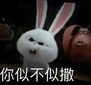  王思聪一句sb把解说骂出lpl