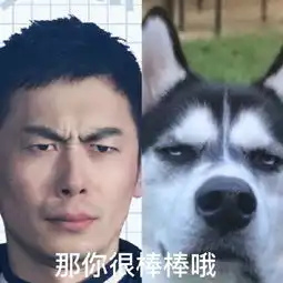  娱乐圈撞脸狗狗的男艺人,都这么有综艺感吗