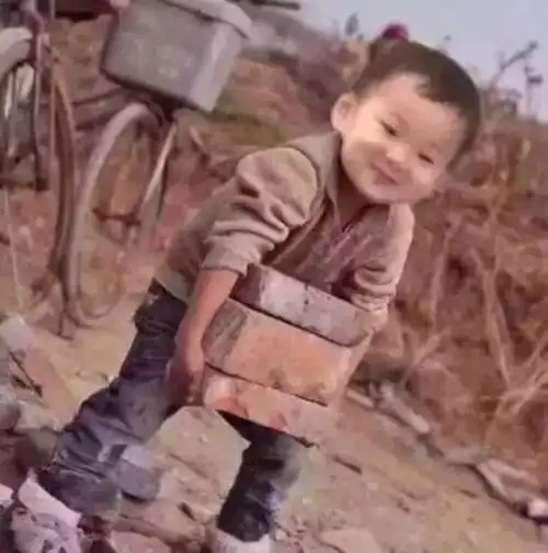 贴吧搞笑表情包搬砖