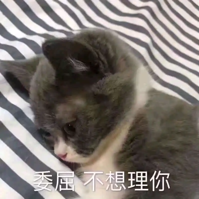  表情搞笑的表情包委屈巴巴,不想理你表情