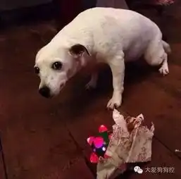  有事没事看耳朵