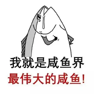  年轻人,应该努力向上还是做一条咸鱼呢