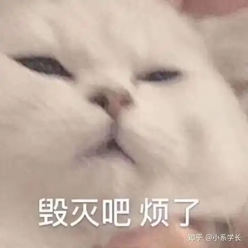 心里烦的表情包图片