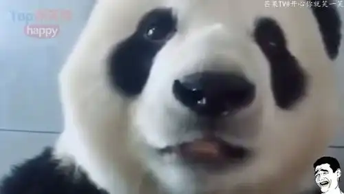 爆笑小仙女,要不是我孩子没比你小几岁,就找你要微信了