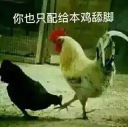  奔跑表情包