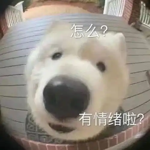  陈翔真把我笑死了