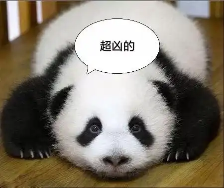  逛灯会讲故事丨熊猫文化小使者招募啦