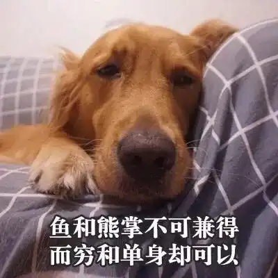  双十一到了,有网友给大家做了组困难群众表情包