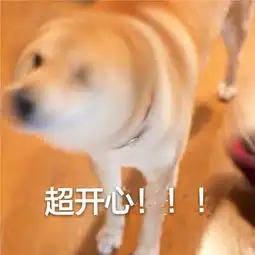 打狗狗表情包蹭饭