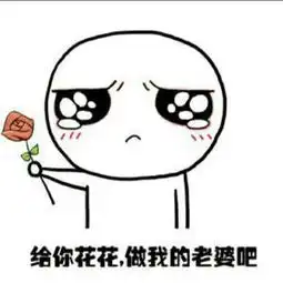  做我老婆好不好表情包