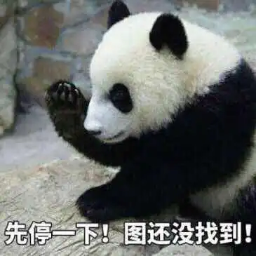  大路的相册动物表情包