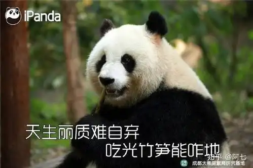  熊猫看似作为一种软萌性动物有什么必杀技