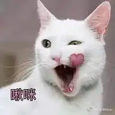  每周电影飓风奇劫现已同步上映