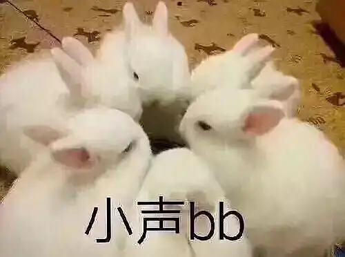  美分乱踢人辱骂组员,八卦来了lex真是八组...