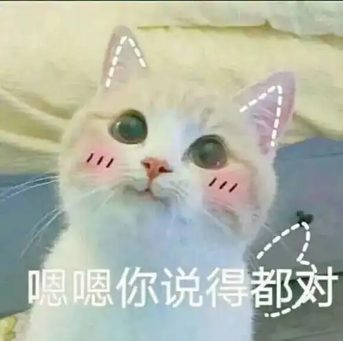 乖表情包的意思过日子