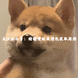  可爱的小动物表情包,柴犬表情包,猫猫表情包