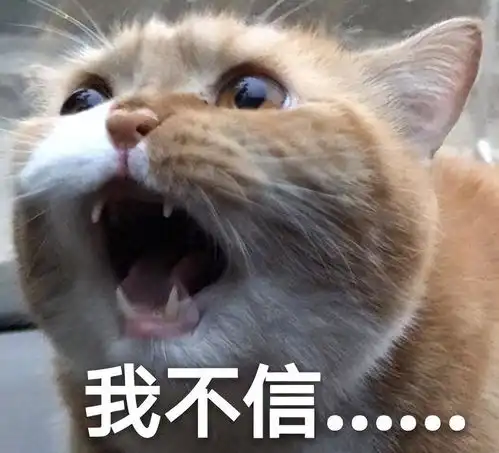 一把抱住表情包橘猫