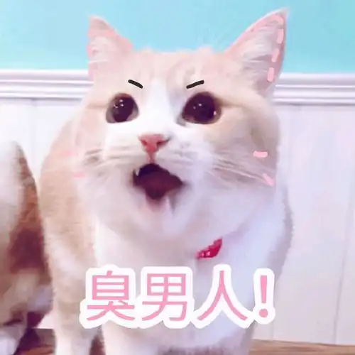 乖表情包的意思软饭男