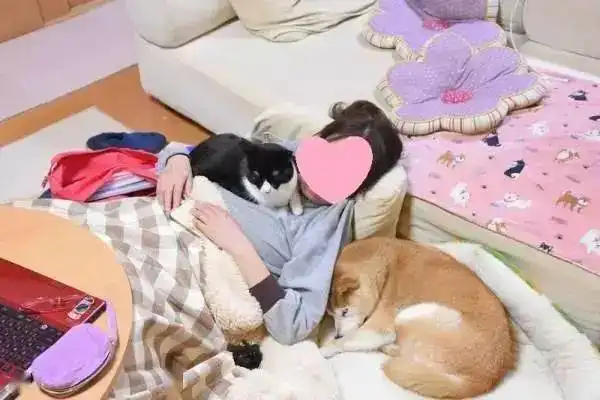  这些表情包,其实不好笑,很好哭