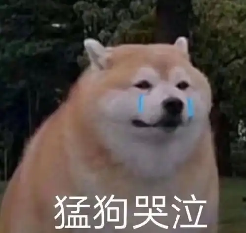  关于狗子的沙雕表情包你见过几个