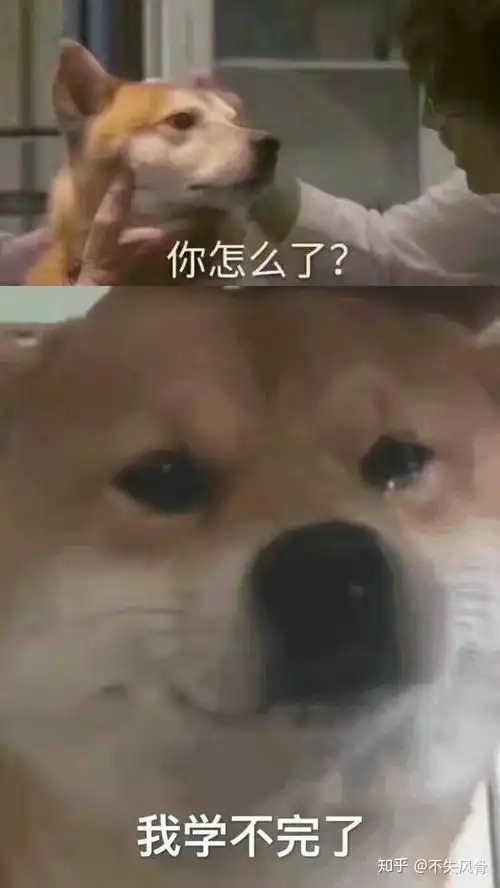  挑战压轴题小黄本适合什么水平的学生做