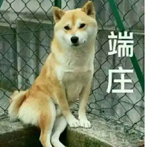  你有没有一两个小可爱