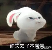  颖宝爱兔小白表情包来袭