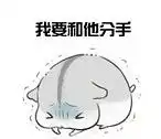  仓鼠夫妻