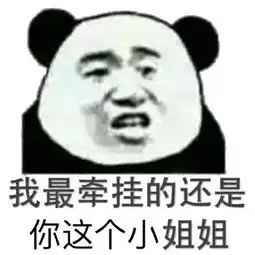  熊猫头关于小姐姐表情包合集我最牵挂的还是你这个小姐姐