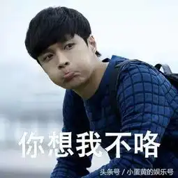 高傲表情包是谁卢稳