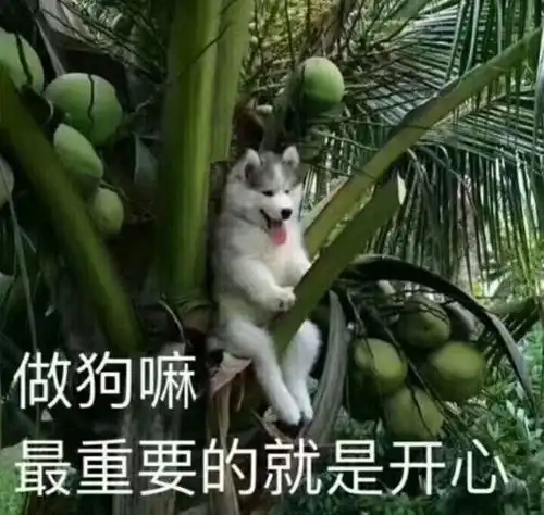  刚到大年初一,我就拿了个钻石大礼