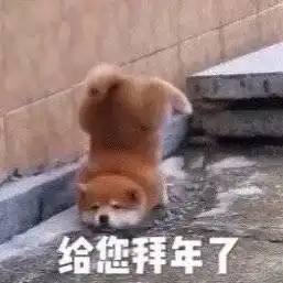  2019二月你好说说二月加油文字快过年了的朋友圈句子