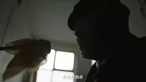  朋友圈被一窝猪刷爆了第一次,想给电影预告片打满分佩奇