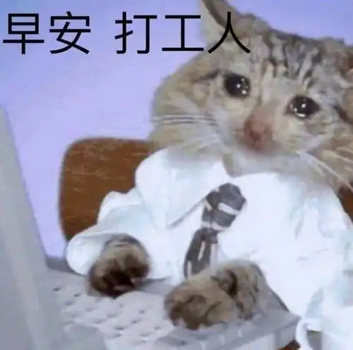  打工人表情包