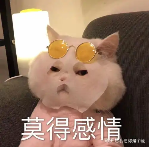  有哪些祝福语让你印象深刻