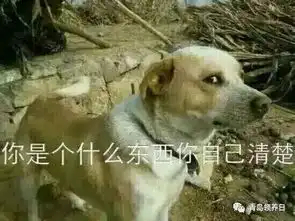  魔性狗子表情包全属精品