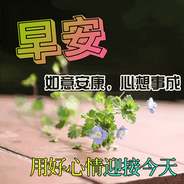  夜空因繁星而美丽,清晨因旭日而多彩,人生因朋友而美好,早安